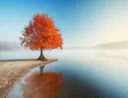 seo在‌线‍教﻿程‍